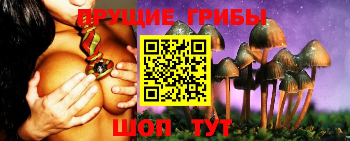 Галлюциногенные грибы мицелий  Вход с VPN  где купить наркотик  Махачкала 