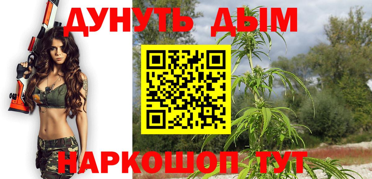 Шишки марихуана конопля  Марихуана Amnesia  Махачкала  Вход с VPN  Канабис семена 