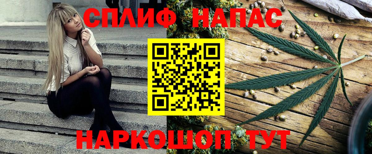 Конопля семена Махачкала